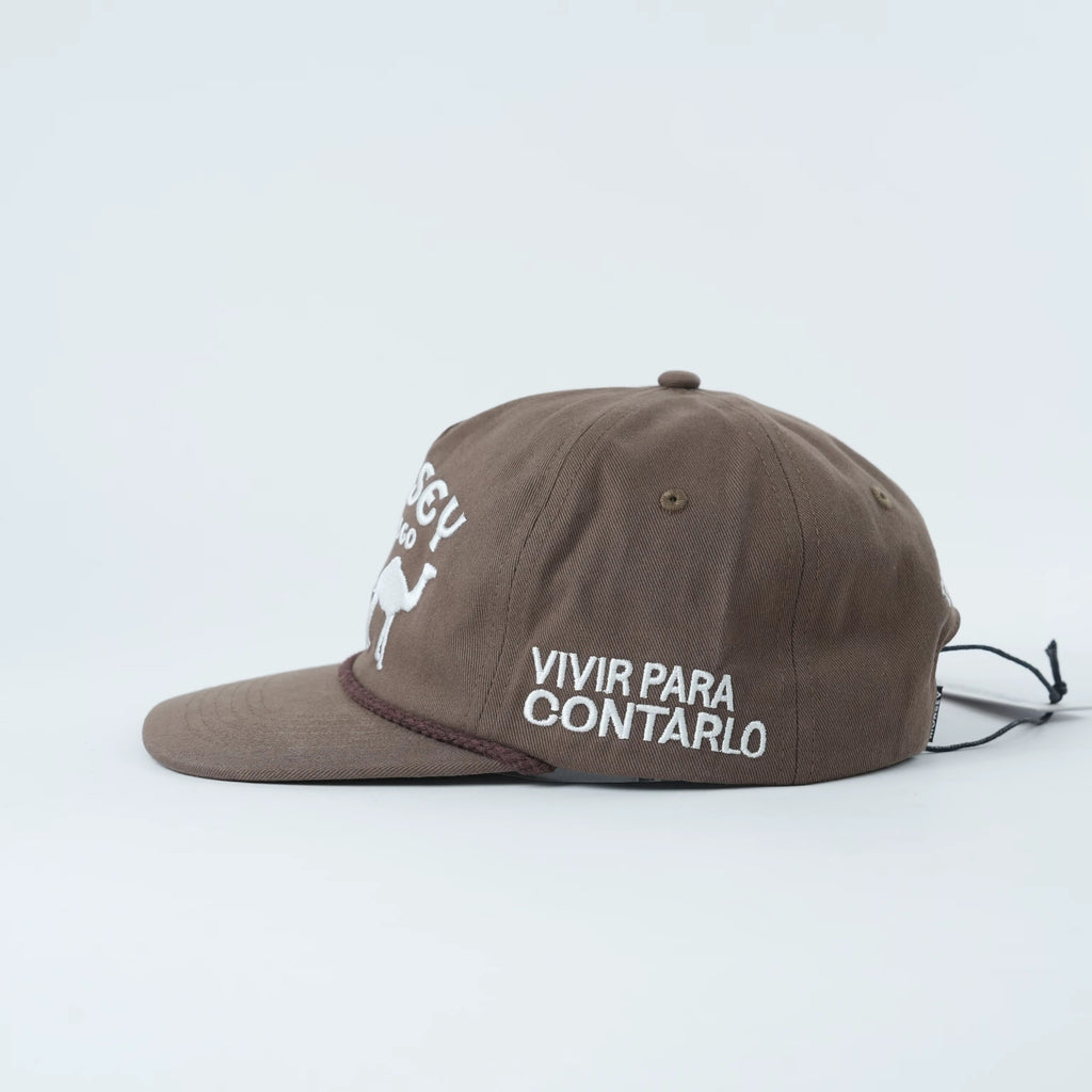 COMPETENCE 1 DARK BROWN